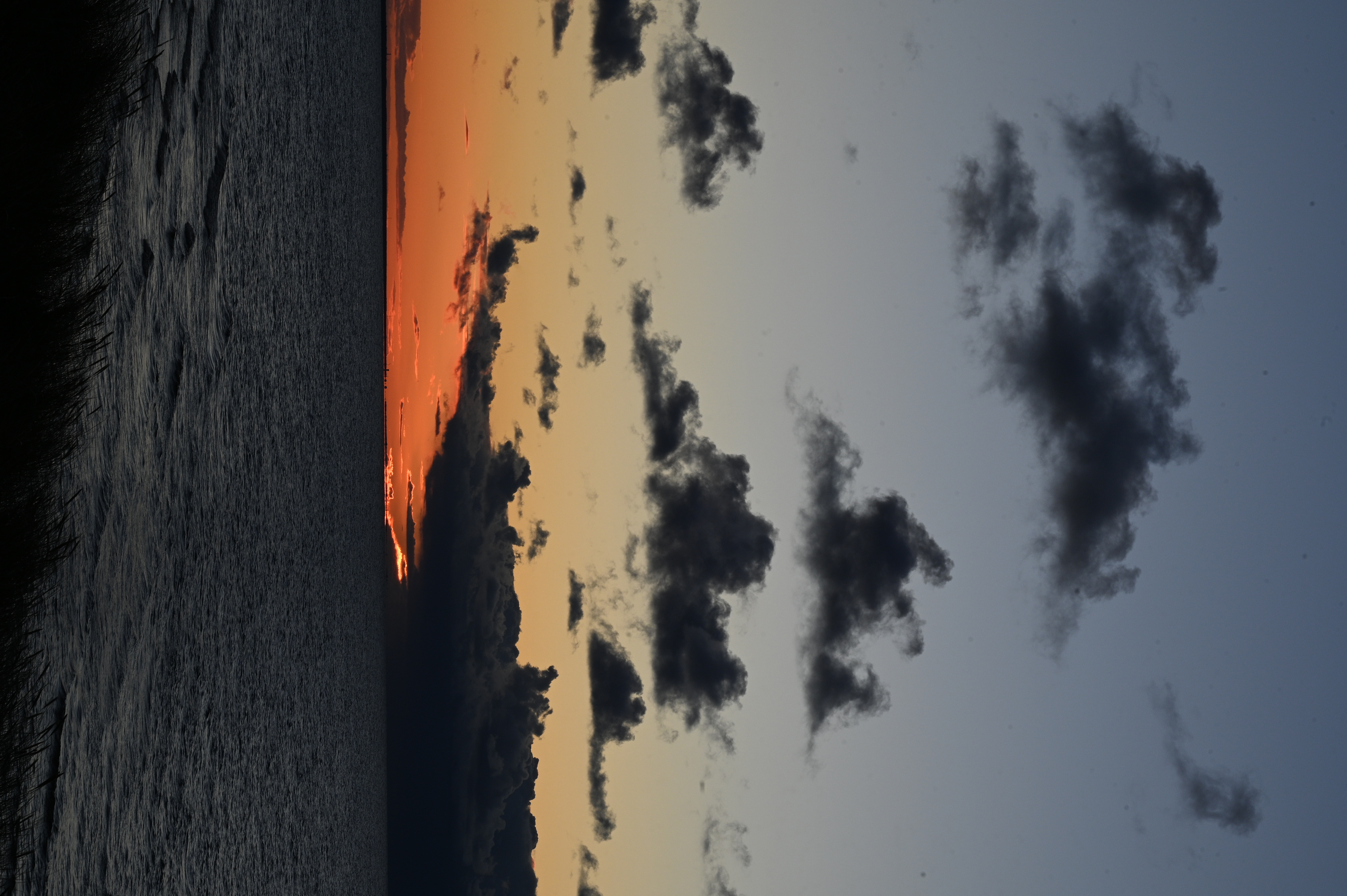 2025/10/18 - walk/DSC_0521.JPG